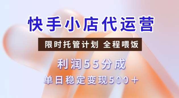 快手小店代运营3.0,模式新升级,收益55分,稳定单日5张【揭秘】-网赚副业网