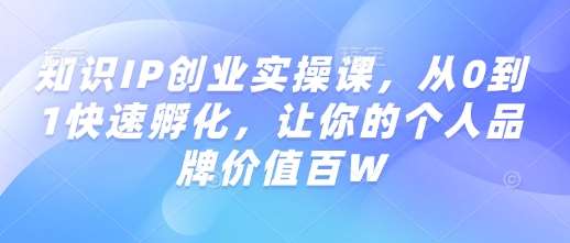 知识IP创业实操课,从0到1快速孵化,让你的个人品牌价值百W-网赚副业网