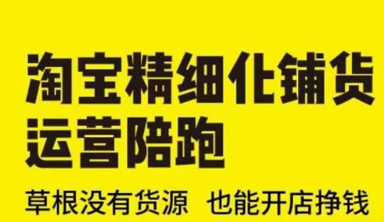 淘宝精细化铺货运营陪跑(部分更新至2025),草根没有货源 也能开店挣钱-网赚副业网
