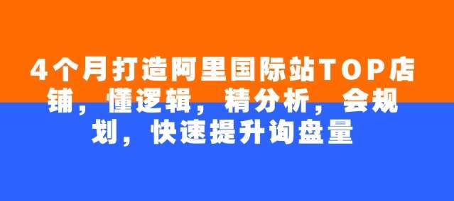 4个月打造阿里国际站TOP店铺,懂逻辑,精分析,会规划,快速提升询盘量-网赚副业网
