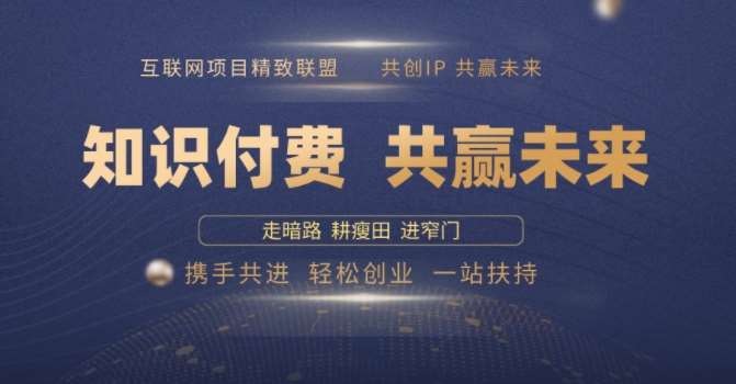 别人苦寻无果,为何他们靠知识付费卖项目 2025 年轻松年入100个?【揭秘】-网赚副业网