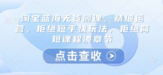 淘宝蓝海无货源课,精细运营,拒绝短平快玩法,拒绝简短课程凑章节-网赚副业网