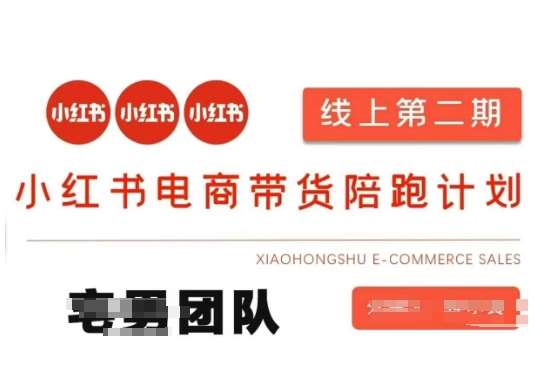 小红书电商带货课2期,月利润20个的小红书电商的有货源,无货源,虚拟产品,付费投流等整套玩法-网赚副业网