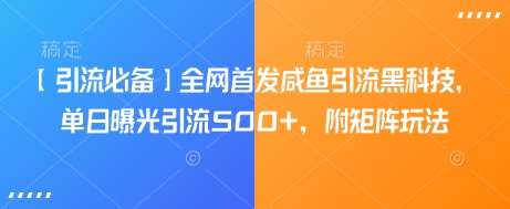 【引流必备】全网首发咸鱼引流黑科技,单日曝光引流500+,附矩阵玩法【揭秘】-网赚副业网