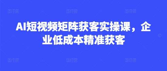 AI短视频矩阵获客实操课,企业低成本精准获客-网赚副业网