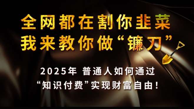 全网都在割你韭菜,我来教你做镰刀,2025普通人如何通过知识付费,实现财F自由【揭秘】-网赚副业网