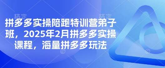 拼多多实操陪跑特训营弟子班,2025年2月拼多多实操课程,海量拼多多玩法-网赚副业网