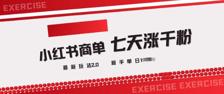 小红书商单2.0最新玩法,3天涨千粉单日变现多张-网赚副业网