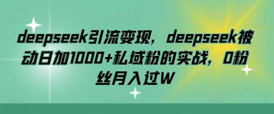 deepseek引流变现，deepseek被动日加1000+私域粉的实战，0粉丝月入过W-网赚副业网