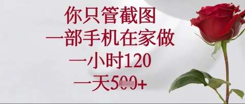 你只管截图,一部手机在家操作,一小时120.一天5张【揭秘】-网赚副业网