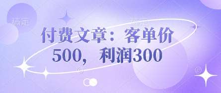 付费文章:客单价500,利润300-网赚副业网