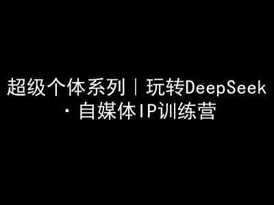超级个体系列,玩转DeepSeek·自媒体IP训练营,deepseek教程-网赚副业网