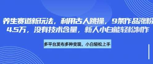 养生赛道新玩法，利用古人跳操，9条作品涨粉4.5W，没有技术含量，新人小白能轻松制作-网赚副业网