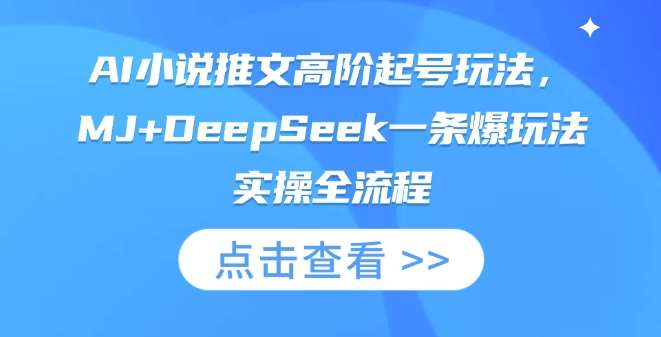 AI小说推文高阶起号玩法，MJ+DeepSeek一条爆玩法实操全流程-网赚副业网