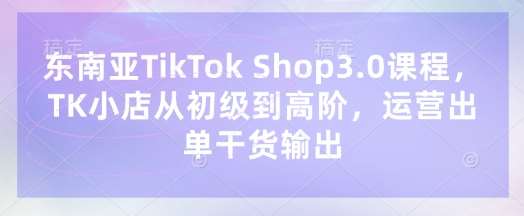 东南亚TikTok Shop3.0课程,TK小店从初级到高阶,运营出单干货输出-网赚副业网