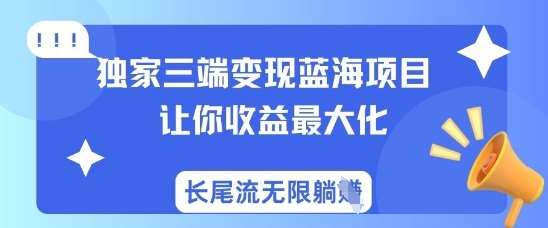 独家三端变现蓝海项目,让你收益最大化,长尾流无限躺挣-网赚副业网