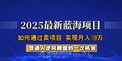 2025蓝海项目，普通人如何通过卖项目，实现月入过W，全过程【揭秘】-网赚副业网