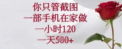 你只管截图,一部手机在家做,一小时120.一天5张【揭秘】-网赚副业网