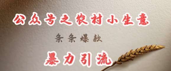 deepseek写农村小项目,条条爆款,暴力引流-网赚副业网