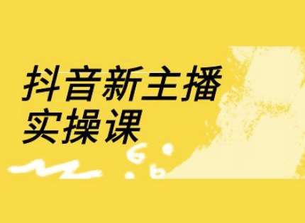 抖音新主播实操课,直播间流量运营线上实操课(18节)-网赚副业网