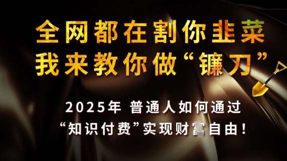 全网都在割你韭菜,我来教你做镰刀,2025普通人如何通过知识付费,实现财F自由【揭秘】-网赚副业网