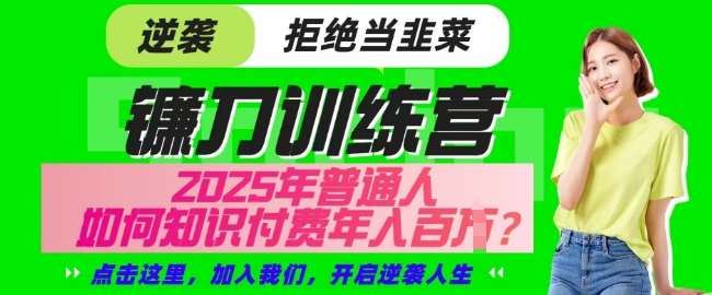 【网创项目终点站-镰刀训练营超级IP合伙人】25年普通人如何通过知识付费实现逆袭【揭秘】-网赚副业网