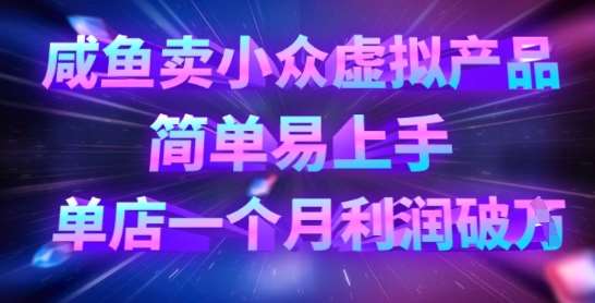 咸鱼卖小众虚拟产品，简单易上手，单店一个月利润破W-网赚副业网