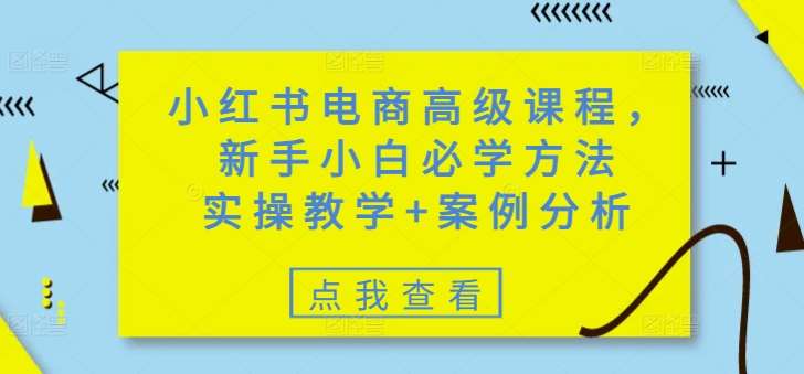 小红书电商高级课程,新手小白必学方法,实操教学+案例分析-网赚副业网