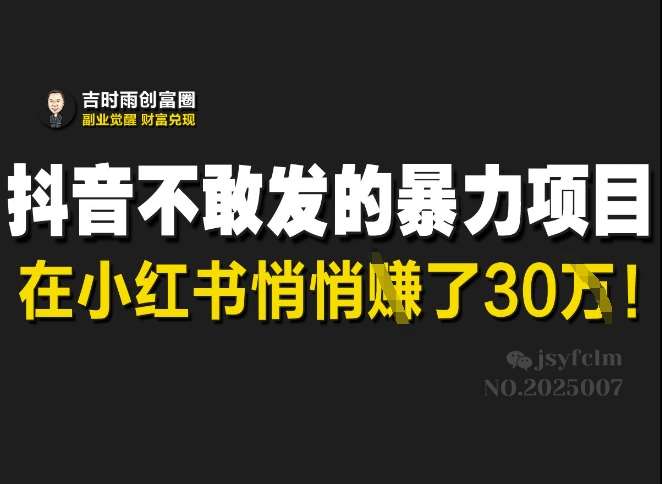 抖音不敢发的暴利项目,在小红书悄悄挣了30W-网赚副业网