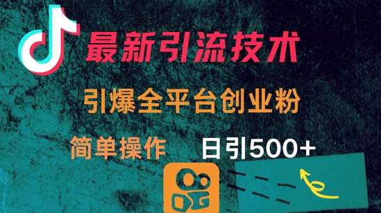 最新引流方法,引爆全平台的一个创业粉,简单操作日引300+-网赚副业网