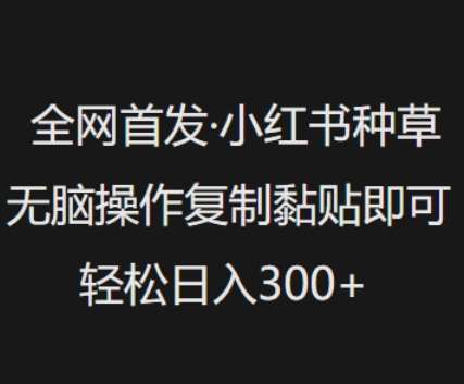 全网首发,小红书种草无脑操作,复制黏贴即可,轻松日入3张-网赚副业网