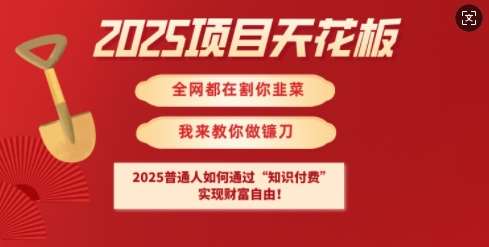 2025项目天花板普通人如何通过知识付费,实现财F自由【揭秘】-网赚副业网
