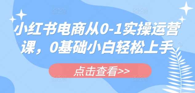 小红书电商从0-1实操运营课,0基础小白轻松上手-网赚副业网