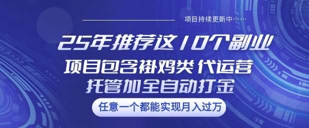 25年推荐这10个副业项目包含褂鸡类、代运营托管类、全自动打金类【揭秘】-网赚副业网