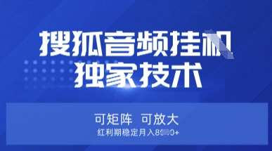 【搜狐音频挂G】独家技术,可矩阵可放大,红利期稳定月入8k【揭秘】-网赚副业网