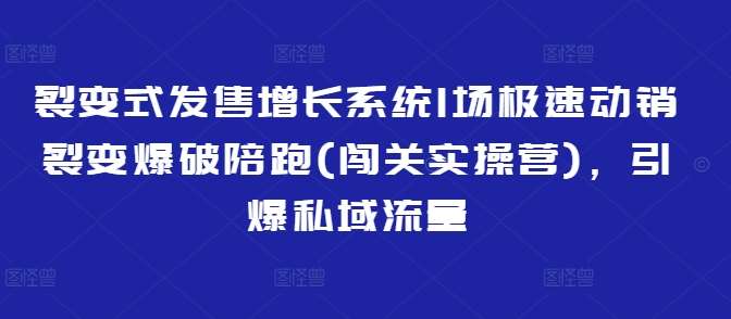 裂变式发售增长系统1场极速动销裂变爆破陪跑(闯关实操营),引爆私域流量-网赚副业网