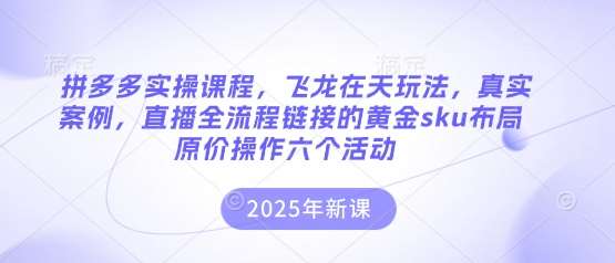 拼多多实操课程,飞龙在天玩法,真实案例,直播全流程链接的黄金sku布局原价操作六个活动-网赚副业网