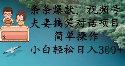 条条爆款,视频号夫妻搞笑对话项目,简单操作,小白轻松日入3张+-网赚副业网