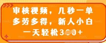 审核视频,几秒一单,多劳多得,新人小白一天轻松3张【揭秘】-网赚副业网