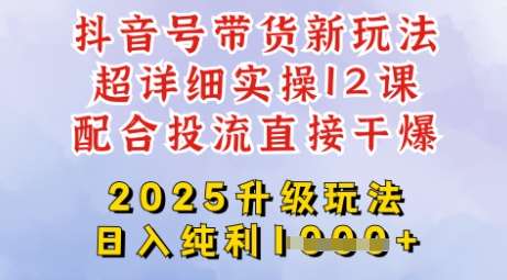 2025全新升级抖音带货玩法,一天纯利四位数,从剪辑到选品再到发布投流,超详细玩法揭秘-网赚副业网