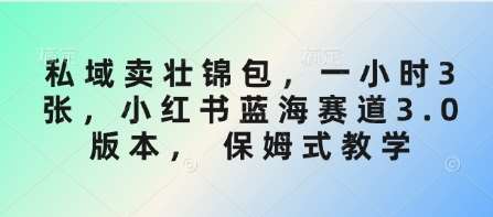 私域卖壮锦包,一小时3张,小红书蓝海赛道3.0版本, 保姆式教学-网赚副业网