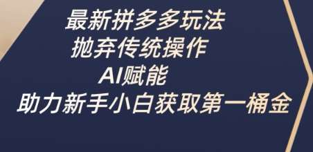 最新拼多多玩法,抛弃传统操作,AI赋能,助力新手小白获取第一桶金-网赚副业网