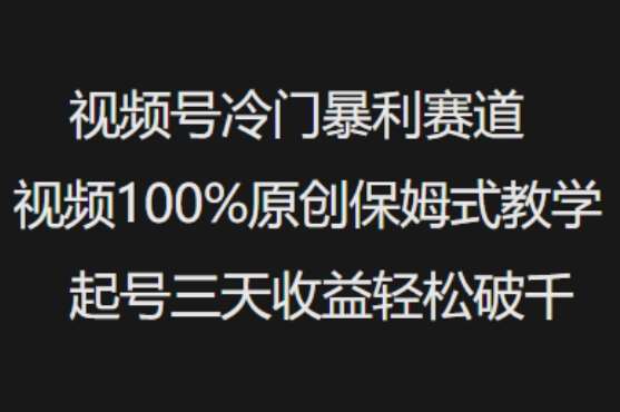 视频号冷门暴利赛道视频100%原创保姆式教学起号三天收益轻松破千-网赚副业网