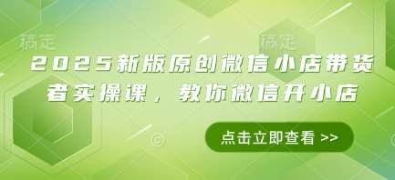 2025新版原创微信小店带货者实操课,教你微信开小店-网赚副业网