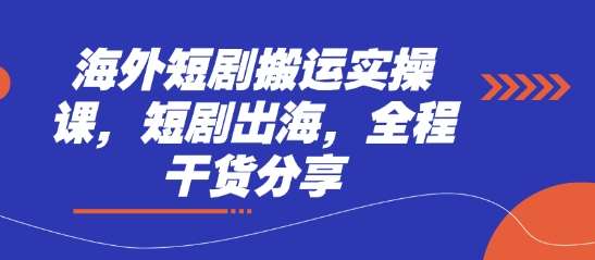 海外短剧搬运实操课,短剧出海,全程干货分享-网赚副业网