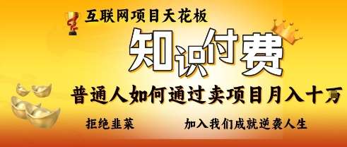 互联网项目天花板，知付付费项目，普通人如何通过卖项目月入十个，拒绝韭菜【揭秘】-网赚副业网