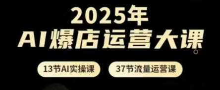 2025年AI爆店运营大课,13节AI实操课+37节流量运营课-网赚副业网