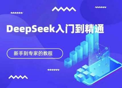 DeepSeek快速从入门到精通,新手的保姆级教程-网赚副业网