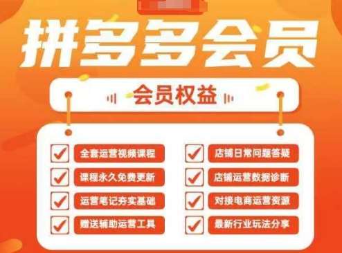 2025拼多多运营实战课,40节全流程教学,覆盖拼多多运营全链路-网赚副业网