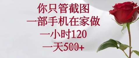 你只管截图,一部手机在家做,苹果安卓都可以,一小时120,一天5张+【揭秘】-网赚副业网